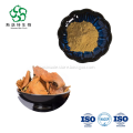 /msite/products/detail/productid/62923674/id/1511203.html